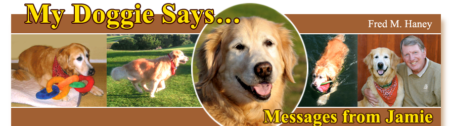 pictures of Golden Retriever Jamie of My Doggie Says playing catch, running, swimming, with author Fred Haney